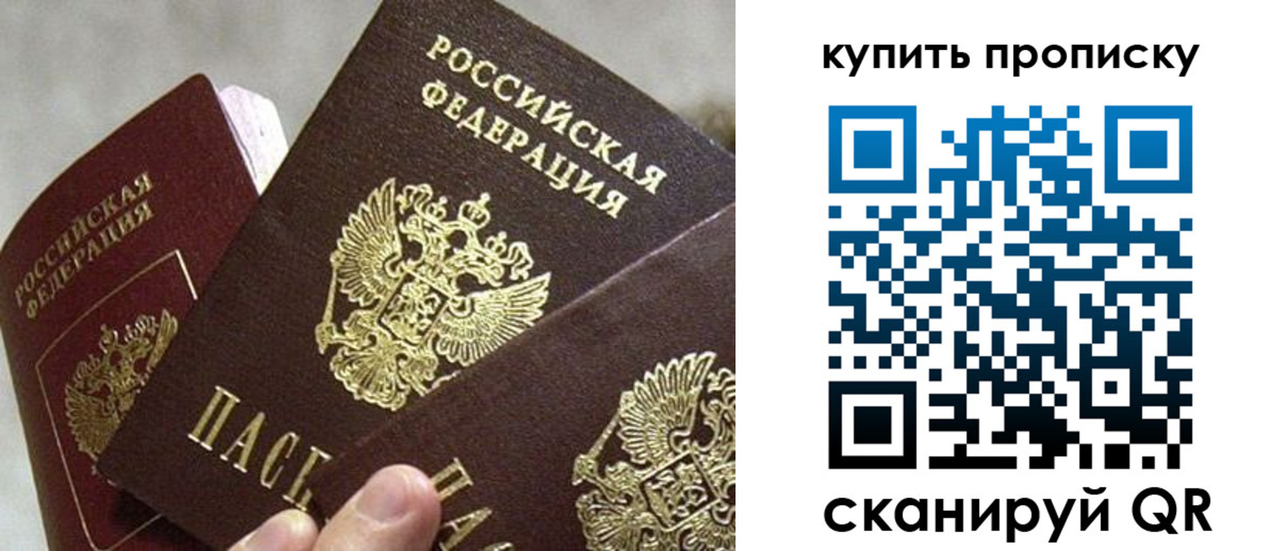 прописка для школы в Зарайске